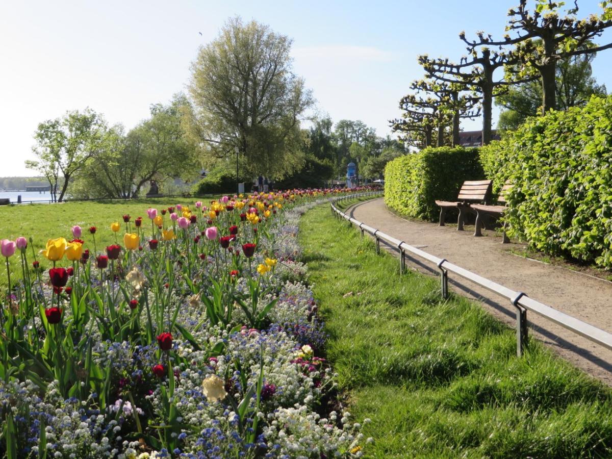 Ferienwohnungen "Marie" Mit Terrassen, Inclusive Park- Und Stellplaetze Am Haus, Mueritz-Strand Nur 700M, Altstadt 10Min, Ruhige Lage, فارين المظهر الخارجي الصورة