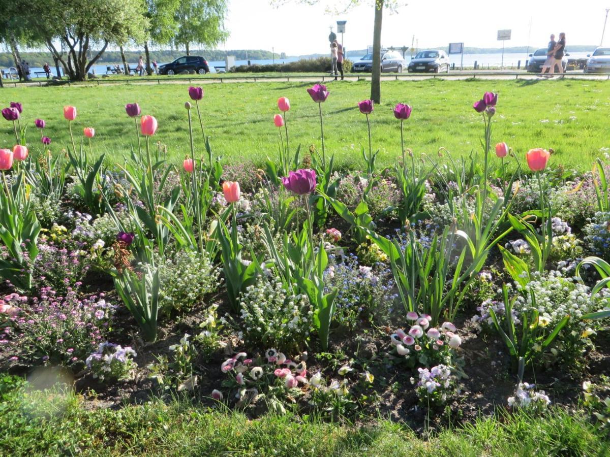 Ferienwohnungen "Marie" Mit Terrassen, Inclusive Park- Und Stellplaetze Am Haus, Mueritz-Strand Nur 700M, Altstadt 10Min, Ruhige Lage, فارين المظهر الخارجي الصورة