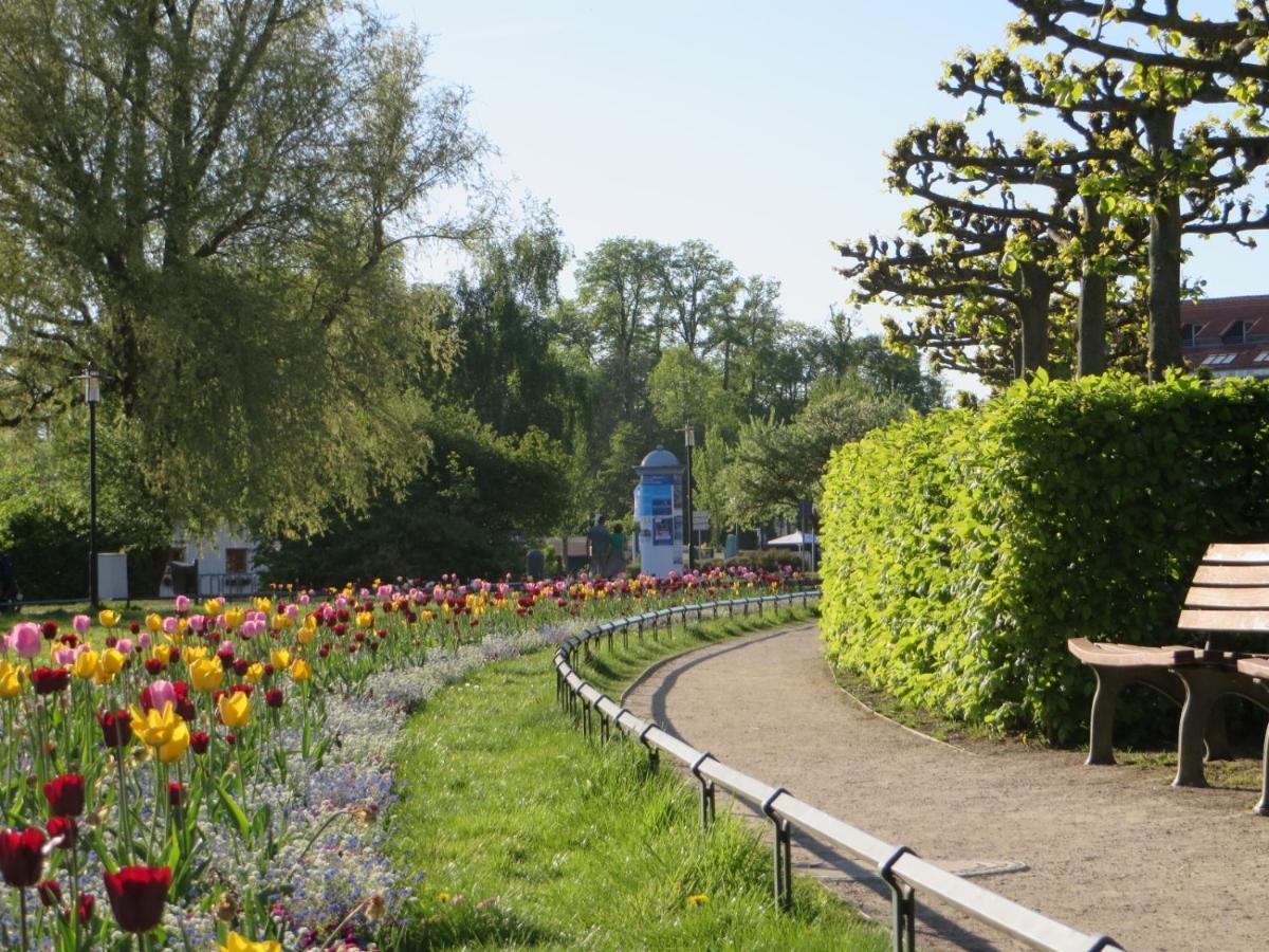 Ferienwohnungen "Marie" Mit Terrassen, Inclusive Park- Und Stellplaetze Am Haus, Mueritz-Strand Nur 700M, Altstadt 10Min, Ruhige Lage, فارين المظهر الخارجي الصورة